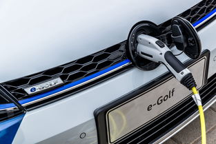 綠樹(shù)荷風(fēng)夏日長(zhǎng) 環(huán)保愛(ài)豆e golf邀你一起 走花路